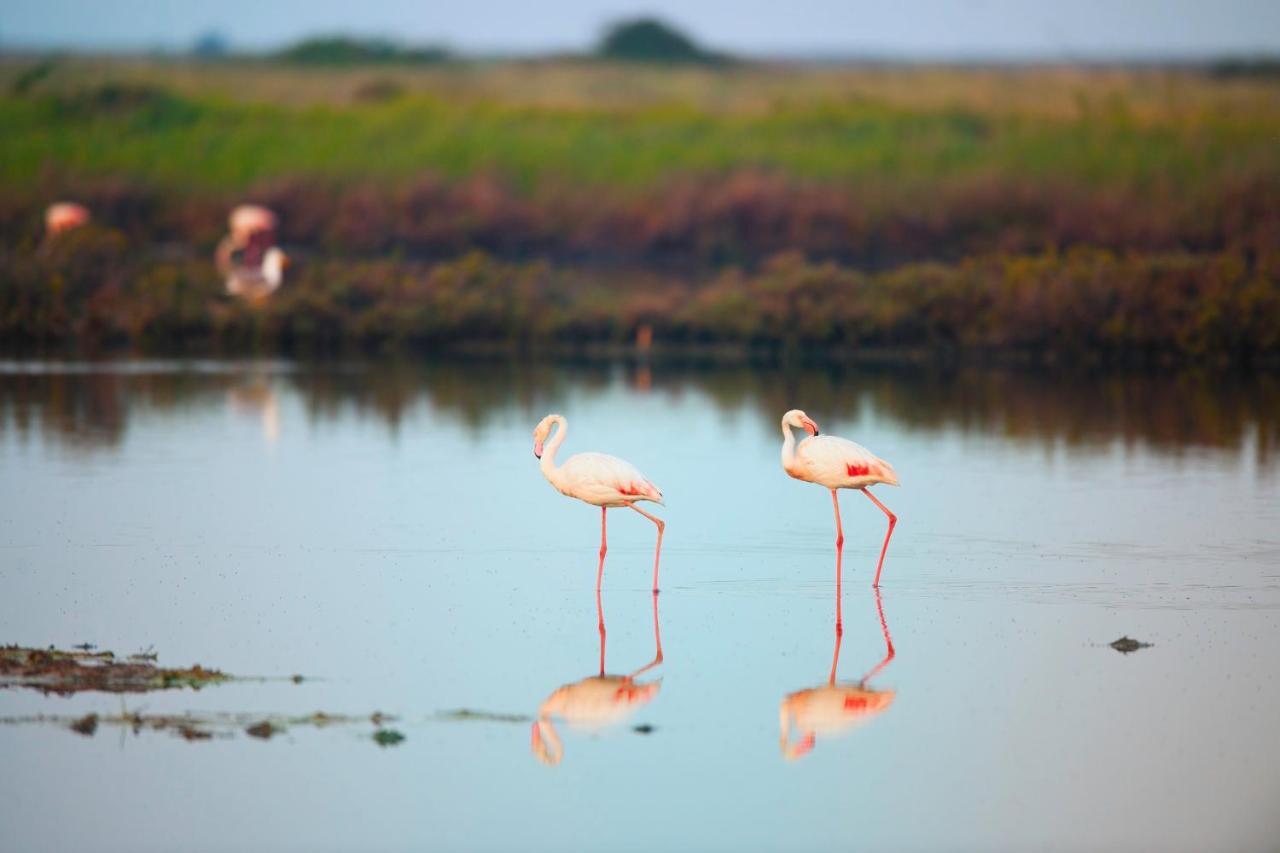 Fiordo Topazio Albarella Island Екстер'єр фото